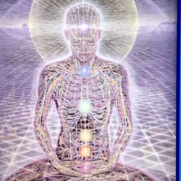 Meet your Posher, Posh - Picture 5 of 7